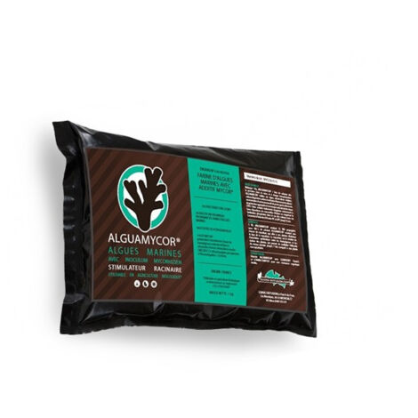 Alguamycor - 500g - Stimulateur racinaire - Guano Diffusion