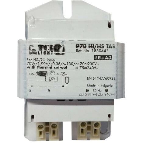 Alimentation ferromagnétique TCI 70W avec protection thermique 183044