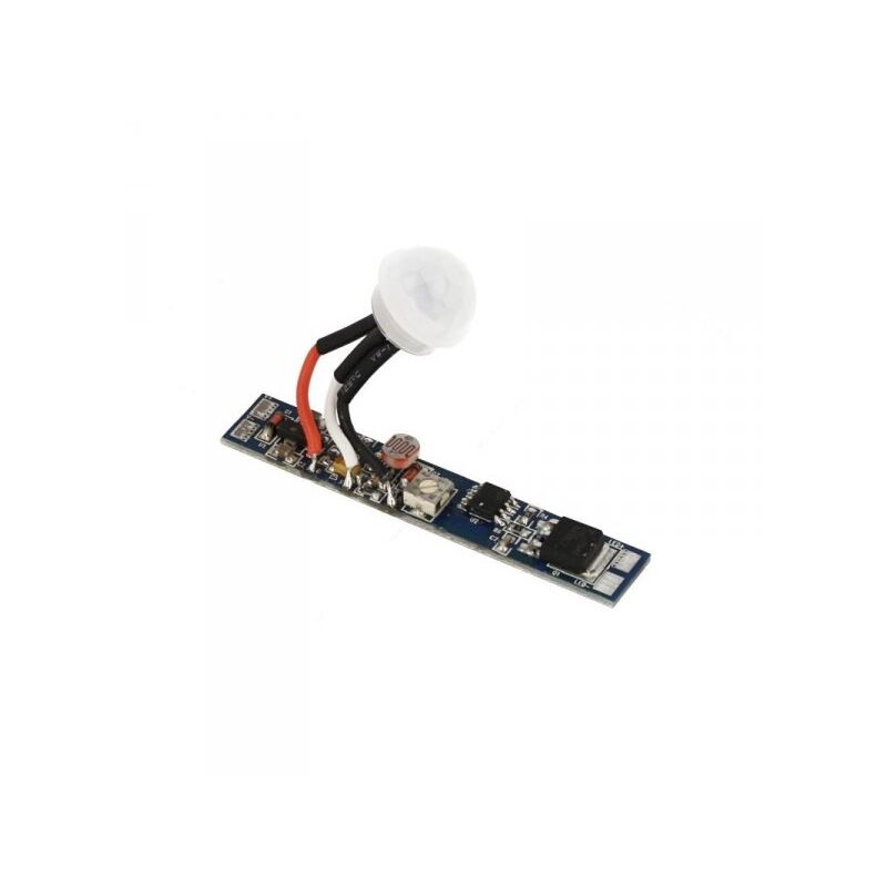 Sensore Di Movimento Pir Light Sensore Crepuscolare 12v 24v 8a Rego...
