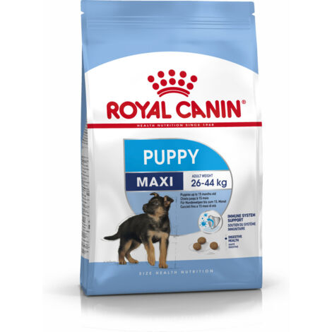 Alimento Royal Canin SHN Maxi Puppy 4 KG
