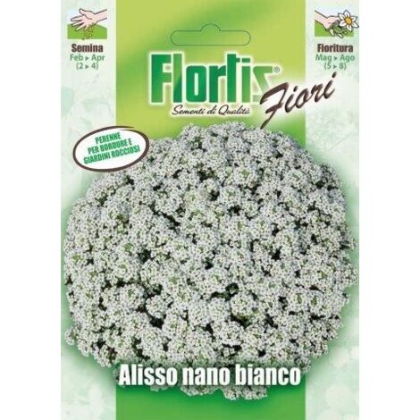 ALISSO NANO BIANCO