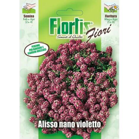 ALISSO NANO VIOLETTO