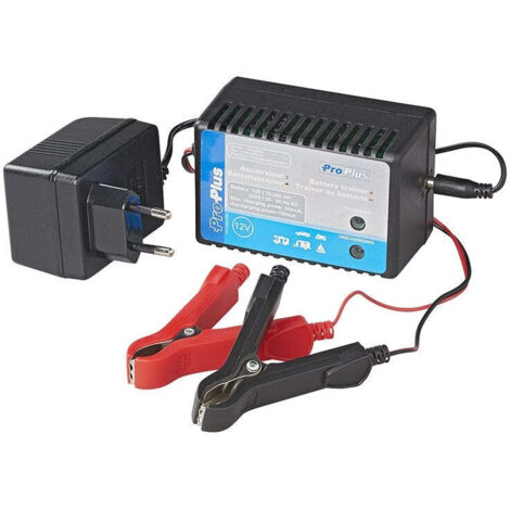 Allenatore di batterie 12V