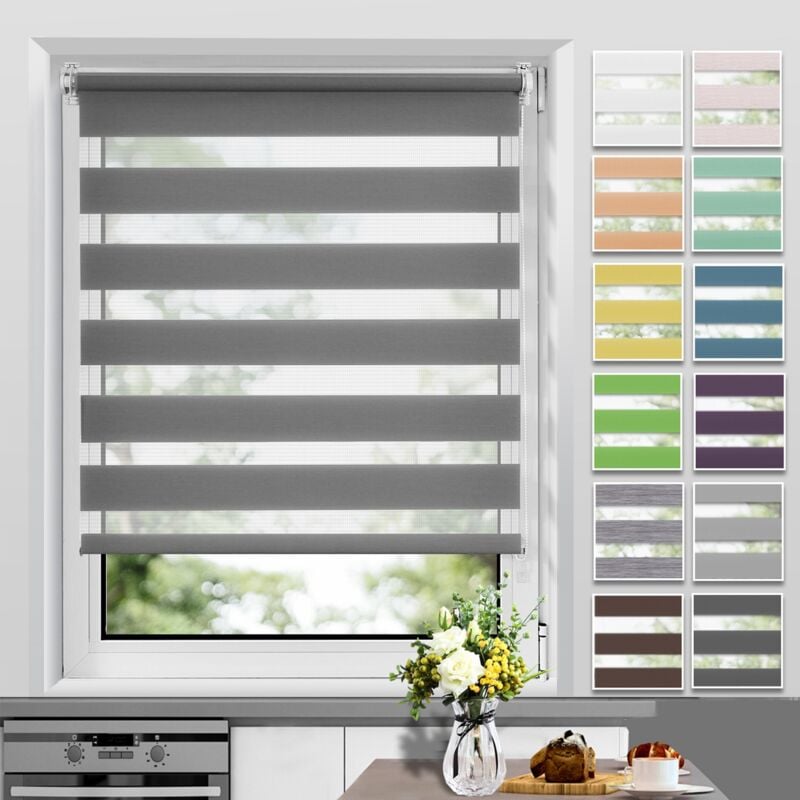 Allesin - Store Enrouleur Jour Nuit sans Perçage, Facile à Installer avec Clips pour Fenêtre ou Porte, 50x230cm, Gris Foncé