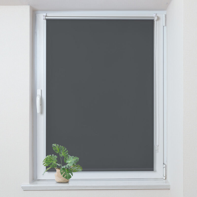 Allesin - Store Enrouleur Occultant Thermique sans Perçage, Rideau Opaque Isolant, Montage Simple pour Fenêtre ou Porte, 55l x 190L cm Gris Foncé