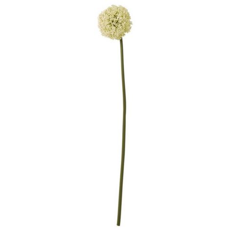 Allium (Single Stem Flower) - Plastic - Height 75 cm - Cream