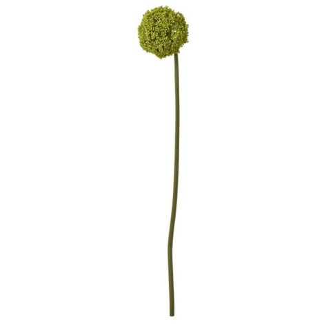 Allium (Single Stem Flower) - Plastic - Height 75 cm - Green