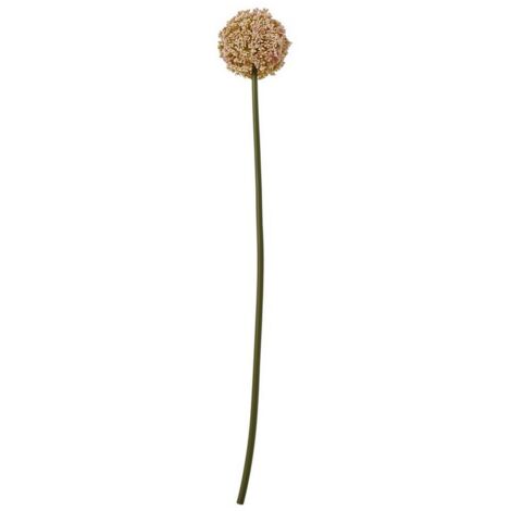 Allium (Single Stem Flower) - Plastic - L11 x W11 x H75 cm - Pink