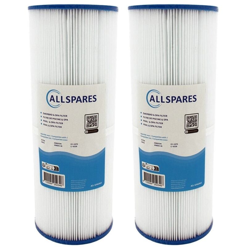 Filtre pour spa SC704 / 42513 / C-4326
