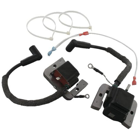 Allumage kit de conversion KOHLER 2570703S
