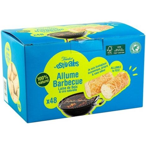 Allume-feu solide par 48 pièce(s)
