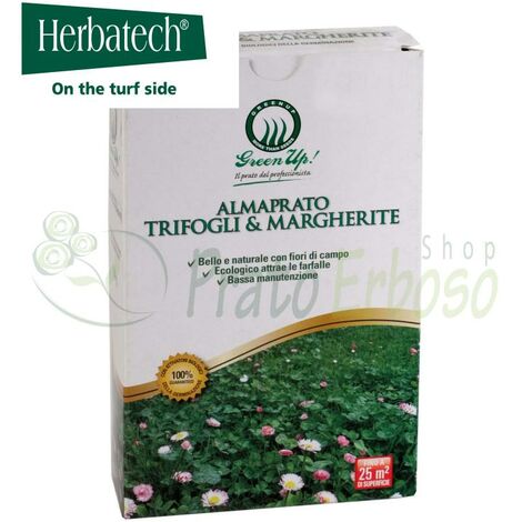 Almaprato Clovers & Daisies - Graines pour prairie fleurie 250 Gr