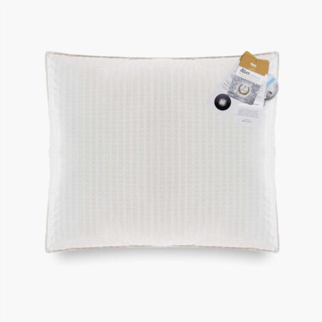 Almohada de plumón de ganso 70x80 Plata 900g Cálida Exclusiva