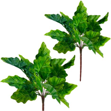 Alocasia verde - Mazzo di foglie di Alocasia, spiga da 38 cm