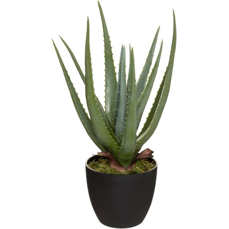 Aloe vera artificiel H44cm Atmosphera créateur d'intérieur - Vert