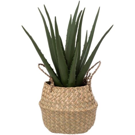 Aloe vera artificiel pot roseau H40cm - Atmosphera créateur d'intérieur