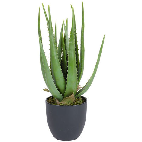 Aloe Vera Kunstpflanze im Topf - 45 cm - Deko Pflanze Zimmerpflanze künstlich