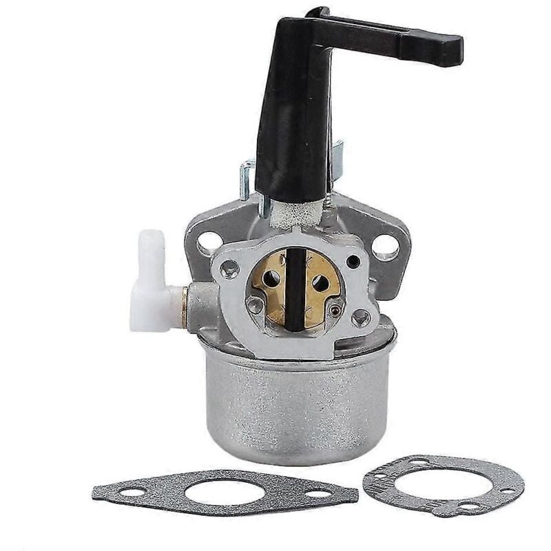 696065 Carburateur 110402 110412 697422 Carburateur Kit de joints de carburateur - Alovez