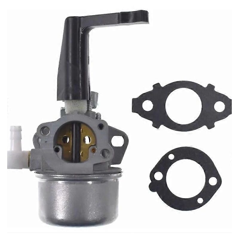 Carburateur de remplacement 696065 avec kit de joints pour carburateur Briggs & Stratton - Alovez