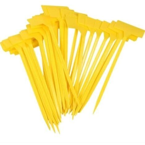 Alovez – Lot de 50 étiquettes de jardin en plastique jaune – Taille 9 x 4,5 cm – Hauteur 30 cm – Réutilisables pour potager et culture