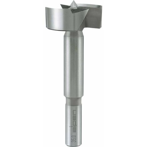 Alpen 0023902600100 Punta Forstner 26 mm Lunghezza totale 90 mm Alberino cilindrico 1 pz.