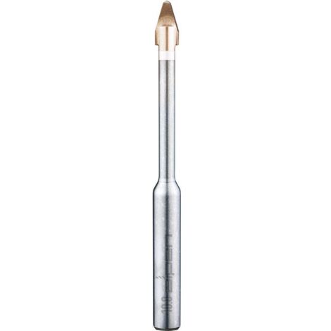 Alpen Foret Professionale in Carburo 6 mm 115 mm