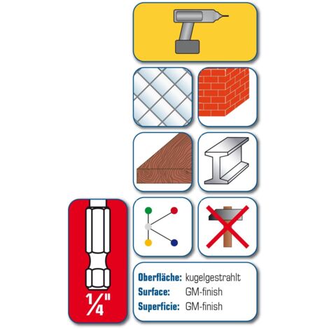 ALPEN - Punte bit multiuso in metallo duro, 1/4 pollice (E 6,3)