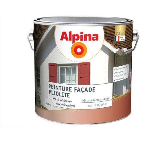 Alpina façade pliolite 5 ans 2L5
