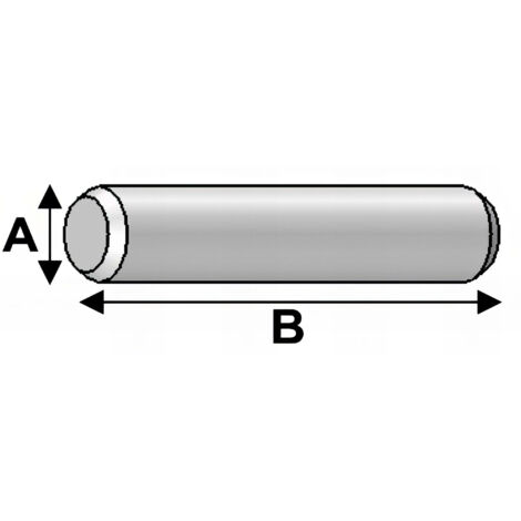 Alsafix Goupille Cylindrique D. 12 mm - Longueur 100 mm - Diamètre 12 mm