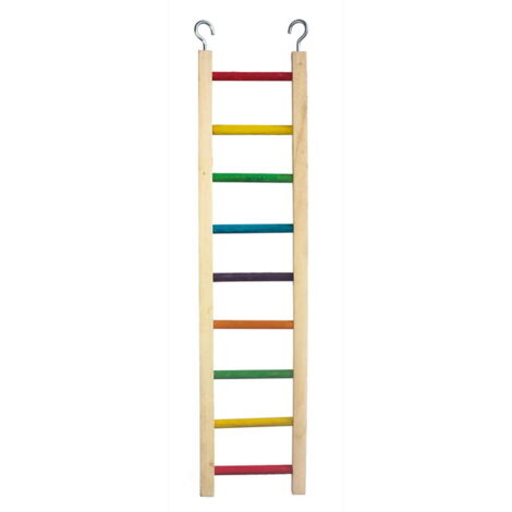 ALSO GIOCO BIRD SCALETTA IN LEGNO MULTICOLOR