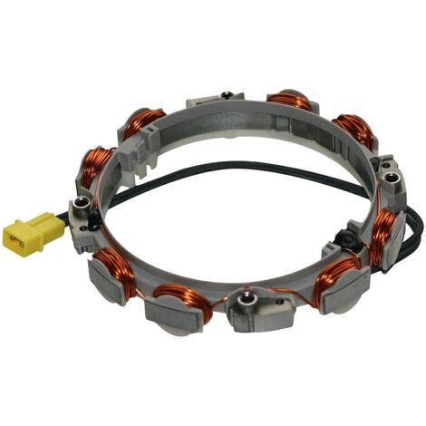 Alternateur 10 - 16 AMP démarreur moteur BRIGGS & STRATTON 696458 592830