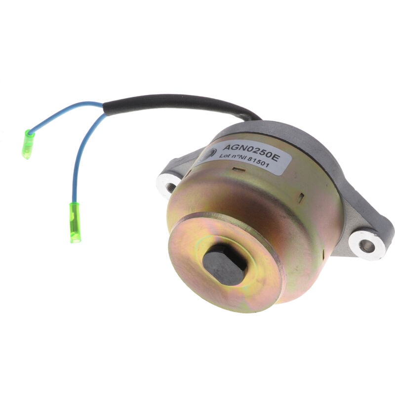 Jardiaffaires - Alternateur compatible avec Kubota 12 volts 14 Ampères entraxe 118mm