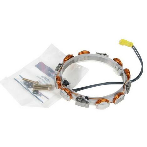 Alternateur autoportée pour moteurs Briggs & Stratton – Compatible modèles 21R707, 21R777, 21R877 – Performance élevée garantie