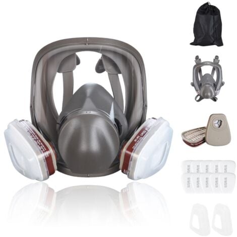 AlwaysH 6800 Reusable Full Face Respirator for Painting, Polishing and Welding, Dust Mask, 2 Types of Connectors