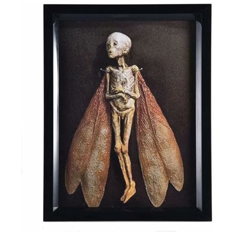 Alwaysh - Cursed Items Dead Fairy Shadow Box Display Handmade Creepy Momified Fairy Corpse Hotel Library Bar Living Room Home Art Ornament Halloween