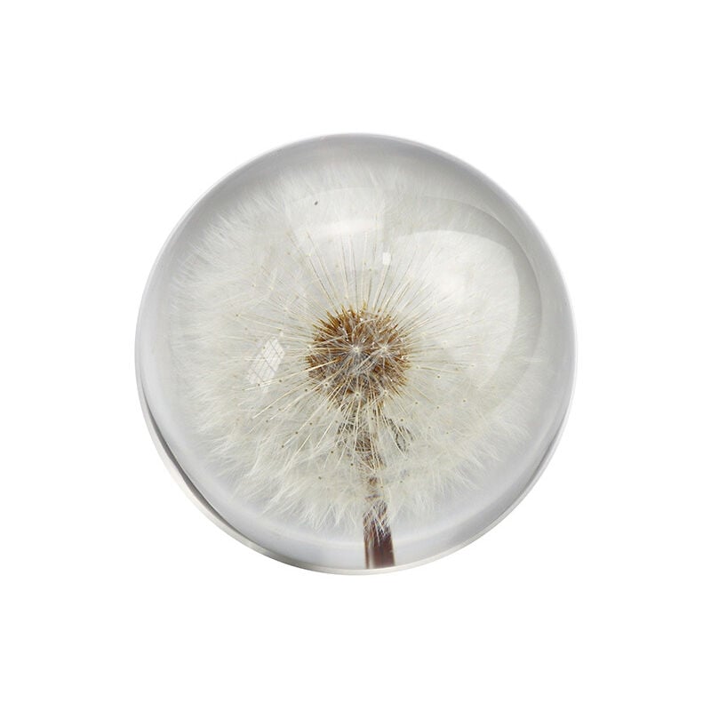 AlwaysHReal Dandelion Paperweight, Resin Ball Dandelion in Gift Box, Home Office Decoration, Birthday, Wedding Gift