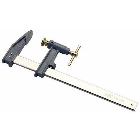 Alyco 197805-Morsetto con manico di serraggio embolo a T, 300 x 100 Copricerchi 28 x 8