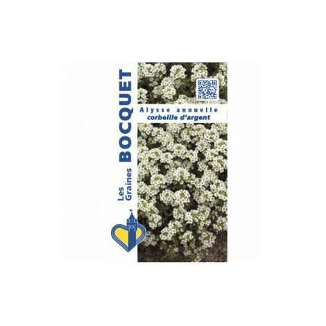 GRAINES BOCQUET Alysse annuelle corbeille d'argent - 1g