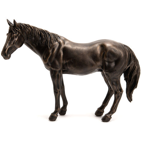 Amadeus - Cheval Colorado