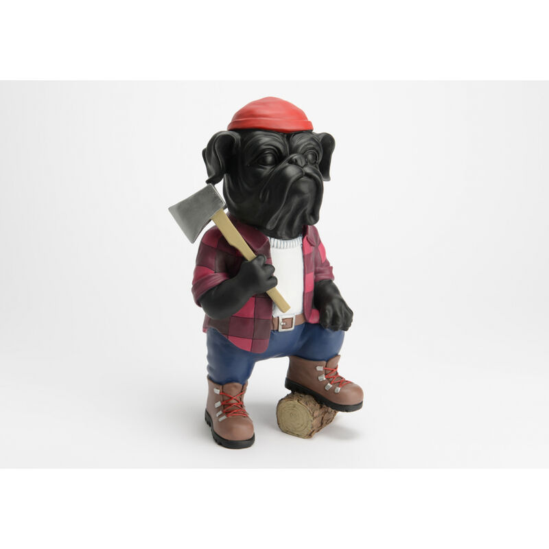 Amadeus - Chien bûcheron québécois