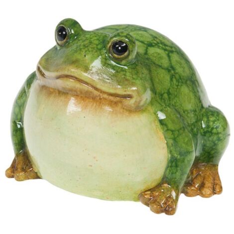 Amadeus - Grenouille Rainette