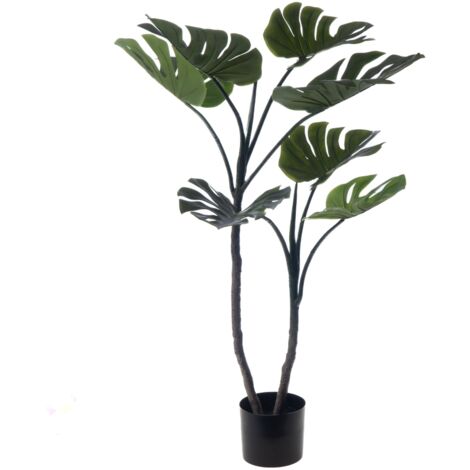 Amadeus - Monstera en pot 130