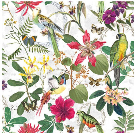 AMBIENTE - SERV. DE TABLE 33CM (20) JUNGLE TROPICALE FSC Mix