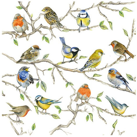 AMBIENTE - SERV. DE TABLE 33CM (20) REUNION D'OISEAUX FSC Mix