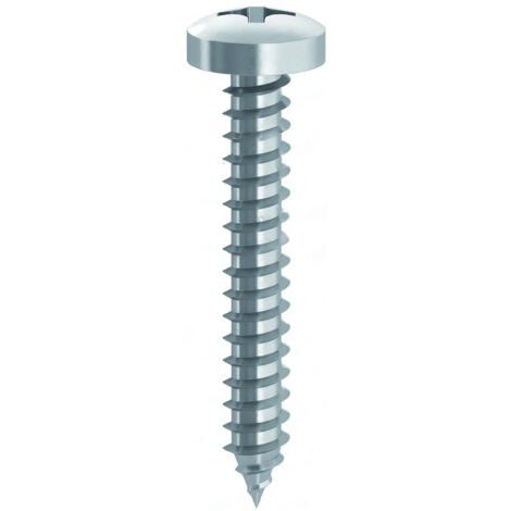 Ambrovit VITE AUTOFILETTANTE TC ZINCATA  mm. 3,9x25 10.00 centinaia