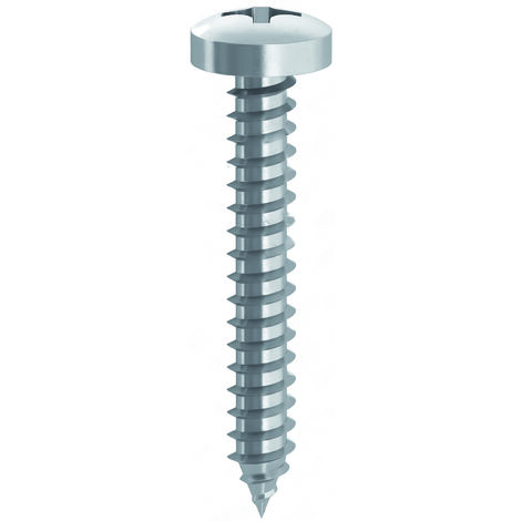 Ambrovit VITE AUTOFILETTANTE TC ZINCATA  mm. 5,5x16 10.00 centinaia