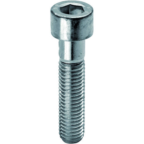 Ambrovit VITE IN ACCIAIO TC CON ESAGONO INCASSATO  M 6x40 mm. 20.00 decine