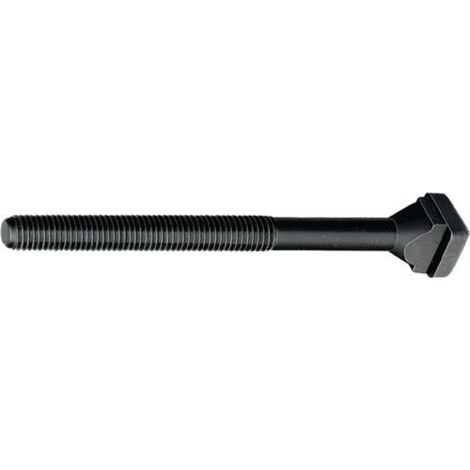 AMF T-Nutenschraube DIN787 8 M24x28x160 vergütet auf 8.8
