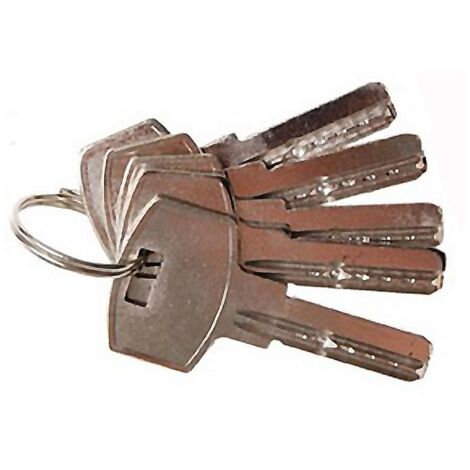 AMIG llavin cerrojo seguridad 2500 laton , Llave de latón en bruto Mod.2500, 6138. Para todos los cerrojos de seguridad.
- Acero.
- Niquelado.
- 0.0150 kg.
- Caja de 10 unidades.