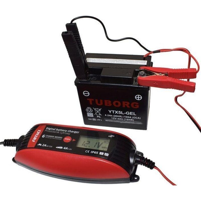 Awelco Amio Dbc-4a Batterie-ladegerät Schwarz 6v-12v